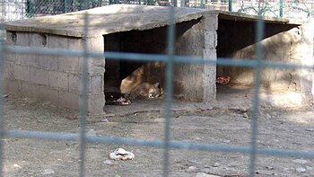 Zoológico La Rioja. Quedó prohibida