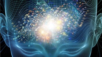 La genética, al igual que