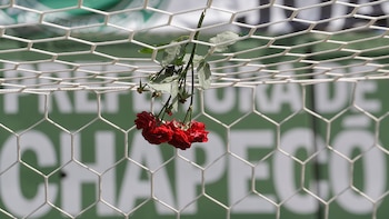 En la tragedia perdieron la