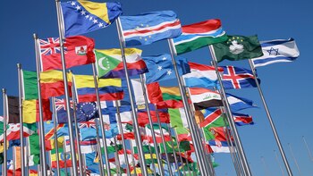 Imagen 7VK7JUTW7BDE7CVNMQNTFIMI6I