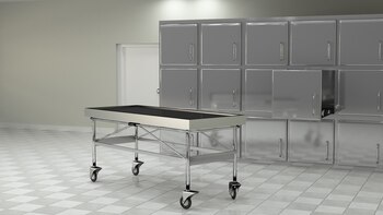 Un guarida escuchó ruidos extraños