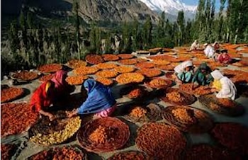 Imagen SYQXASQOCBBKPAMRHI2FCRGX2I