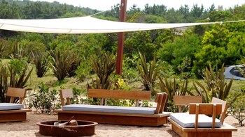 Las reuniones a la noche