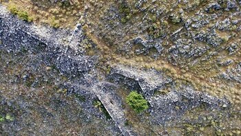 Los investigadores encontraron torres y