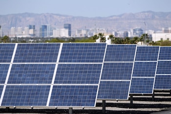 Una de las plantas de