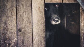 Es importante planificarel mejor lugar