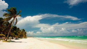 Nada mejor que disfrutar del