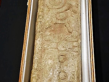 Las autoridades no descartaron que