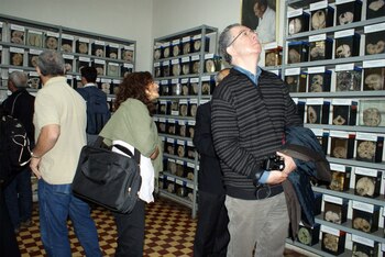 El Museo de Neuropatología se