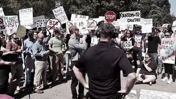 Las manifestaciones a favor del