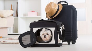 Hay que tener en cuenta