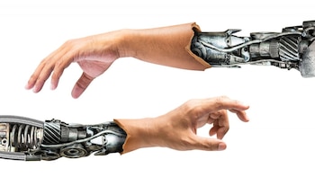 Los expertos consideran que en