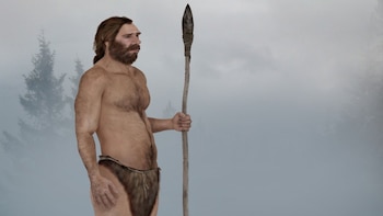 Descubrieron qué comían los primeros