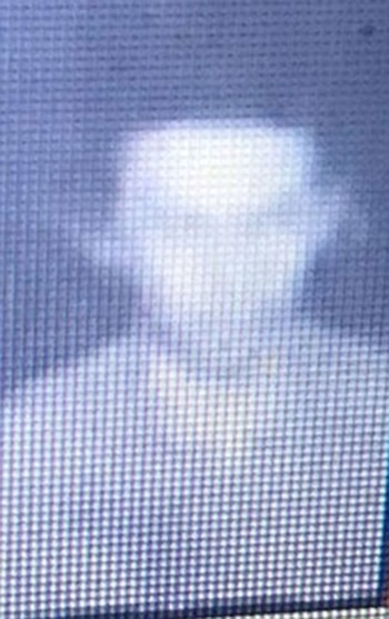 El atacante de Estambul se