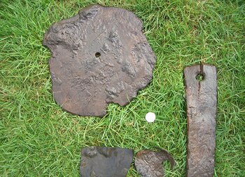 (Wales News Service)