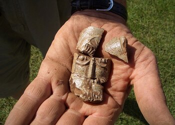 (Wales News Service)