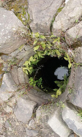 (Wales News Service)