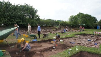 Cientos de voluntarios colaboran con