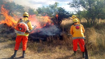 Brigadistas combatiendo el fuego