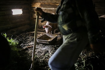 Las personas de Kostroma deben