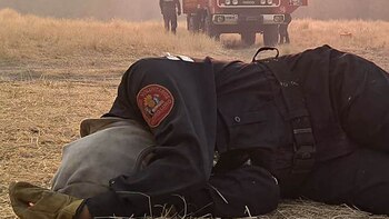 La foto de Luciana Rizzo