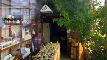 Imagen del interior del comercio