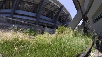 Los alrededores del estadio también