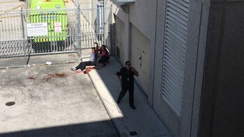 Imagen de uno de los