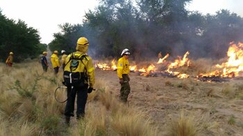 Brigadistas combaten el fuego en