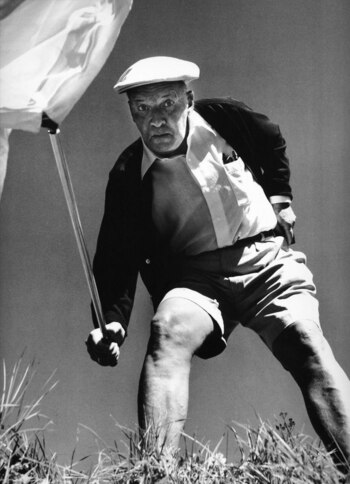 Nabokov y sus mariposas. Fue