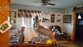 (The Washington Post)