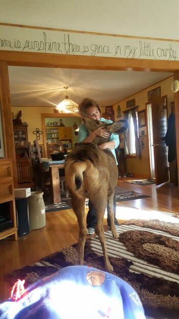 (The Washington Post)