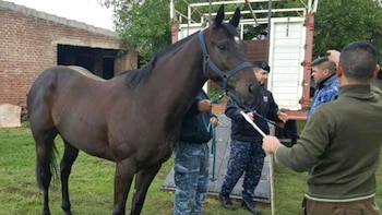Hubo víctimas que tuvieron que