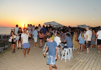 Sofía Sarkany, habitué de las