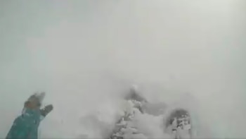 Pudo haber quedado debajo de