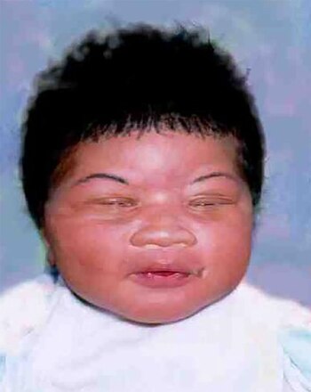 La fotografía con la que