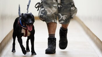 Imagen genérica (Getty)