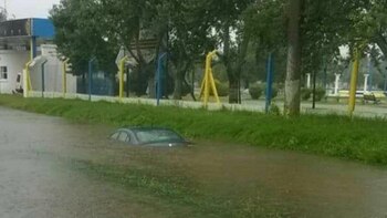 Decenas de vehículos quedaron completamente