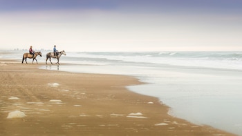 Las cabalgatas bajo el sol