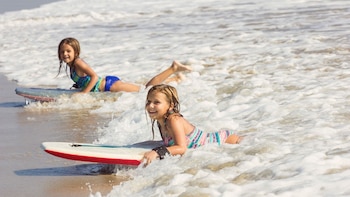 Entre los distintos tipos de