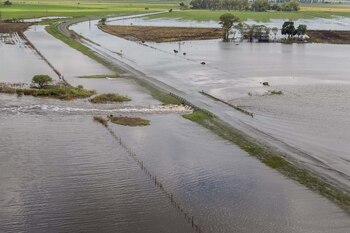 Telam. Foto: Sebastian Granata/telam/cf