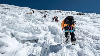 Entre las posibles hipótesis de