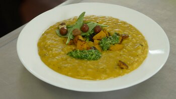 Energía del Sabor brinda programas