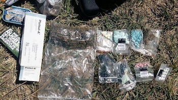 Drogas secuestradas en Mar del