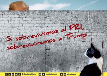 Los memes con Morris se