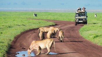 32,9 muertes diarias en 100