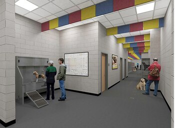 Se espera que por año