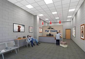 Pet Oasis: piscina para perros