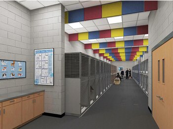 La terminal puede alojar caballos,