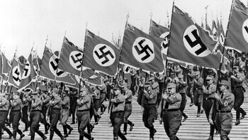 Si bien el artículo que